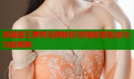 英国国王萝莉岛揭秘权贵隐秘聚集地与功能揭秘