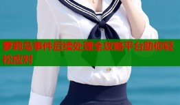 萝莉岛事件后续处理全攻略平台助你轻松应对