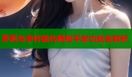 萝莉岛事件前传揭秘平家功能全解析