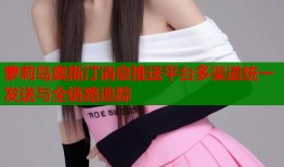 萝莉岛奥斯汀消息推送平台多渠道统一发送与全链路追踪