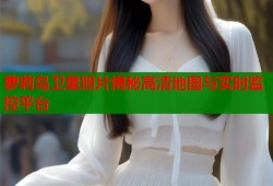 萝莉岛卫星照片揭秘高清地图与实时监控平台