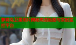 萝莉岛卫星照片揭秘高清地图与实时监控平台