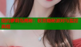 纽约萝莉岛揭秘：权贵隐秘派对与监控真相