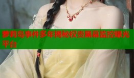萝莉岛事件多年揭秘权贵黑幕监控曝光平台