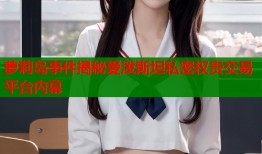 萝莉岛事件揭秘爱泼斯坦私密权贵交易平台内幕