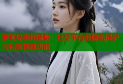 萝莉岛事件揭秘：社交平台的隐私保护与社区管理功能