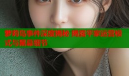 萝莉岛事件深度揭秘 揭露平家运营模式与黑幕细节