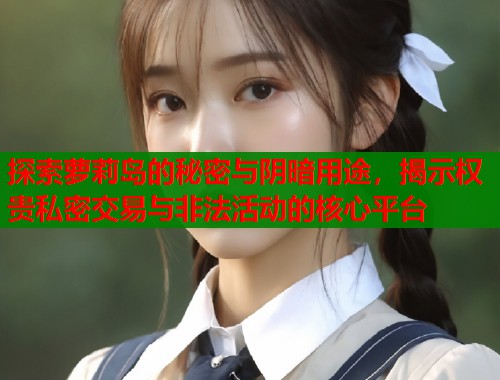 探索萝莉岛的秘密与阴暗用途，揭示权贵私密交易与非法活动的核心平台