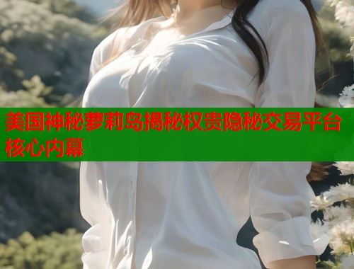 美国神秘萝莉岛揭秘权贵隐秘交易平台核心内幕