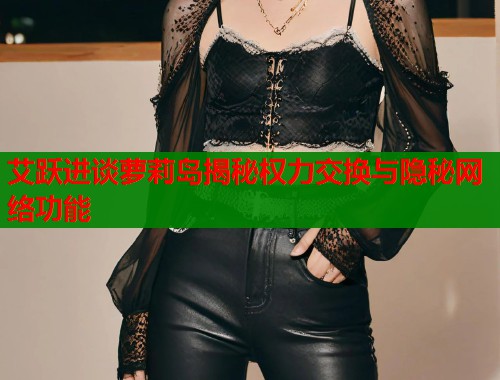 艾跃进谈萝莉岛揭秘权力交换与隐秘网络功能