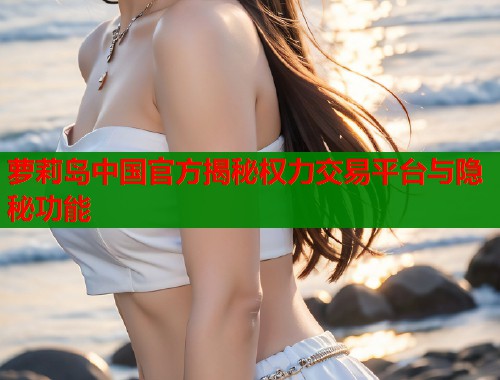 萝莉岛中国官方揭秘权力交易平台与隐秘功能
