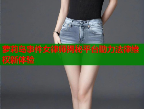 萝莉岛事件女律师揭秘平台助力法律维权新体验