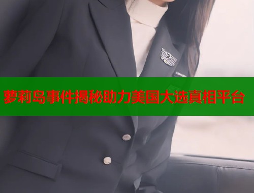 萝莉岛事件揭秘助力美国大选真相平台