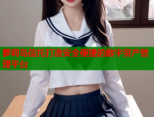 萝莉岛信托打造安全便捷的数字资产管理平台