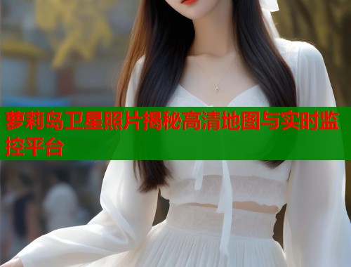萝莉岛卫星照片揭秘高清地图与实时监控平台